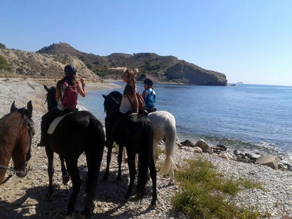 HIPICALEGEND's tweet photo. ESTE VERANO TAMBIÉN REALIZAREMOS RUTAS A LA PLAYA Y AL PANTANO!! http://t.co/emXhRdwNud