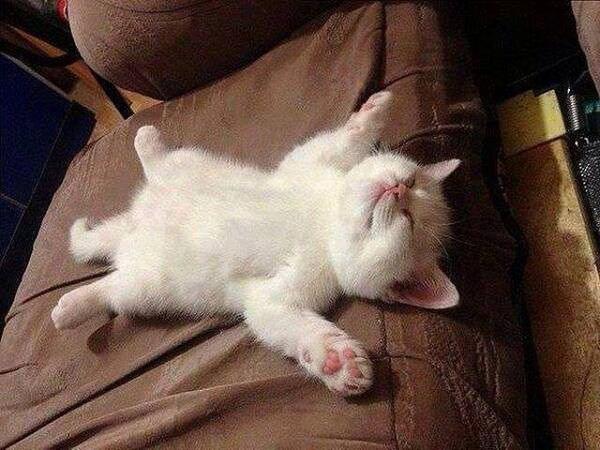 ffoottoos's tweet photo. Un domingo cualquiera.... http://t.co/55OUwCf2OF