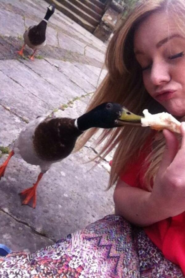 Joanna86068375's tweet photo. #tango #selfiewithaduck ! Crazy ducks!!! http://t.co/x2J9Wc9J8g