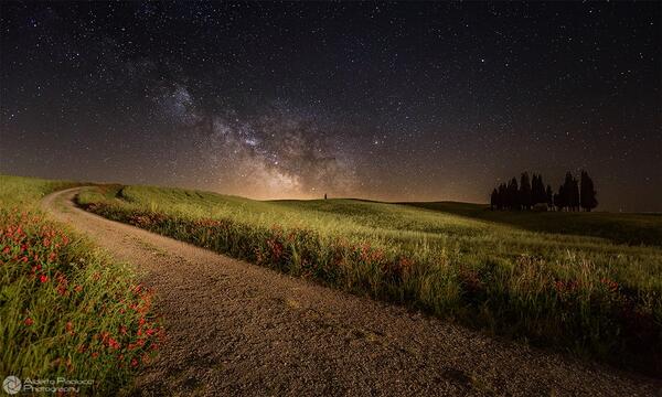 Gabriele_Corno's tweet photo. Staring at the stars @ Val D'Orcia, Tuscany by Alberto Paolucci #inspiration #CGE #nature http://t.co/MtvFTHZHdG