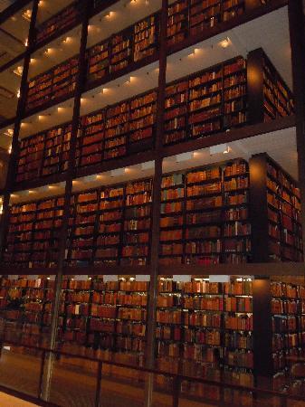 世界の絶景bot A Twitter 世界の図書館 イェール大学 バイネッキ図書館 米国内最大規模の研究図書館であるイェール大学図書館 郡のうちのひとつ 所蔵する希少図書の中には 世界の誰も読むことのできない 古文書のヴォイニッチ手稿がある T Co Igjgophyyi