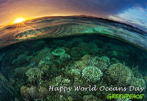 Greenpeace tweet picture