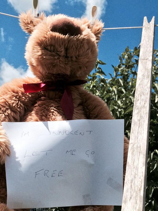 vincetrezise's tweet photo. @shezza36 who hanged ted http://t.co/pLJGeOBysR