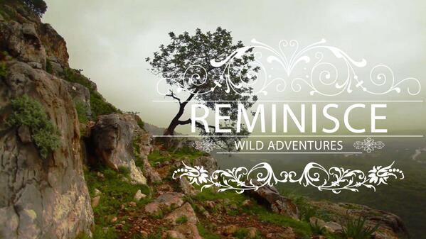 Pixidize tweet media