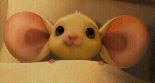 بعض الناس إذا شافوك تتكلم بصوت واطي😂😜 هههههههههههههههههههههههههه