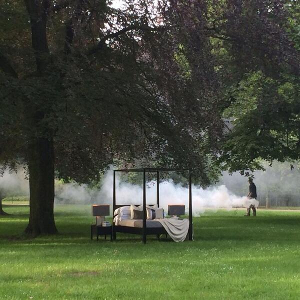 lottiephoto's tweet image. Welcome to Twitter @AlexAlexbhudson :-)  #treeboy  #smokemachine