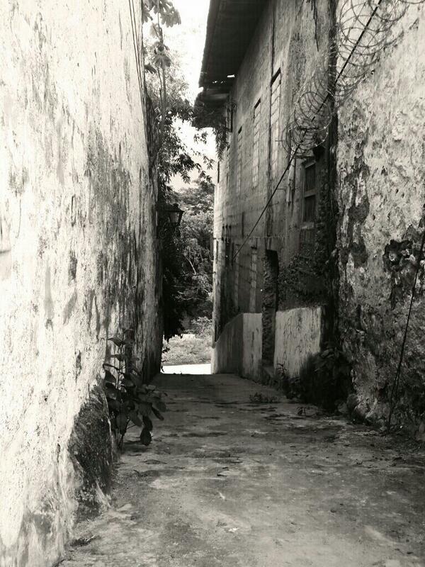 shade8069 tweet picture