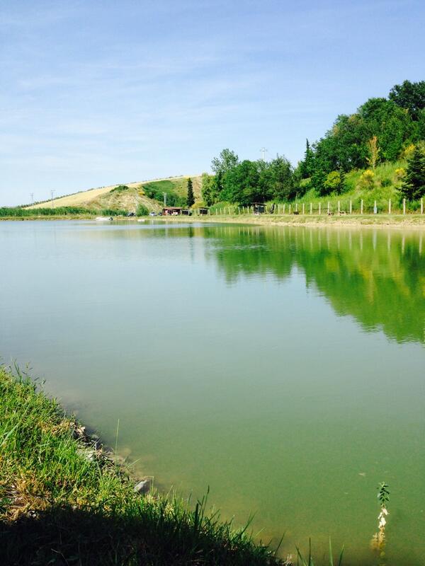 WePlayStrong's tweet image. 