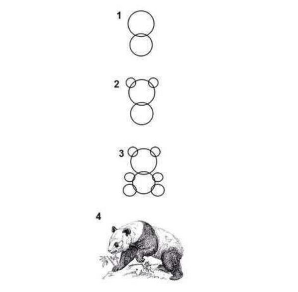 StumblerVideos's tweet photo. art tutorials be like http://t.co/yAAnBTEkcN