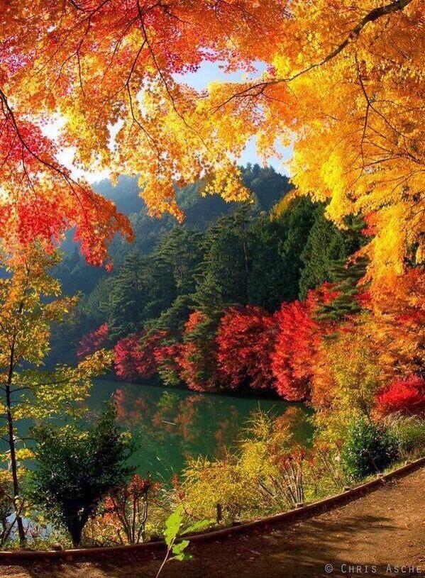 FairyReality's tweet image. The world is beautiful just learn to look at the colors its painted in