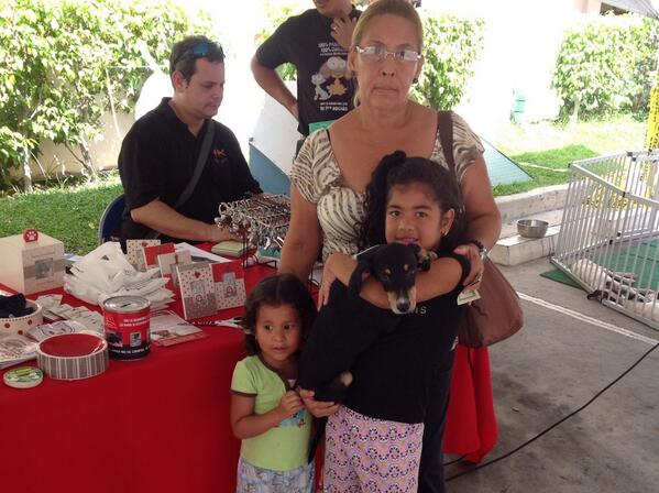 Happy Pets Panama tweet media