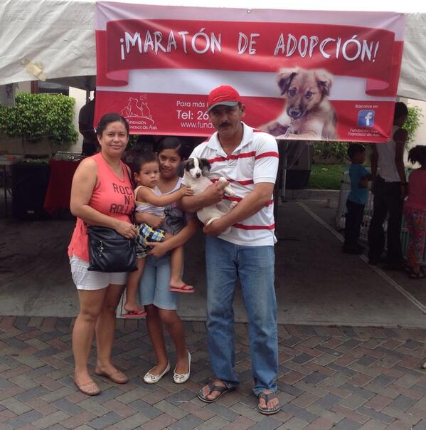 Happy Pets Panama tweet media