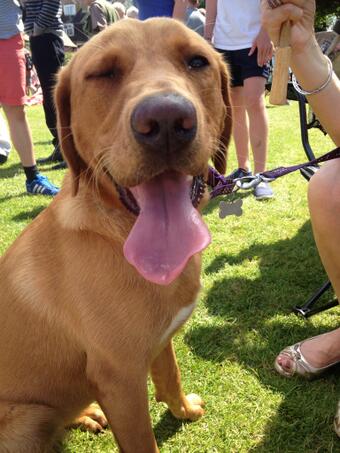 😜👅 http://t.co/Uz8LNjrWka<a href="/tag/ff"class="tags"><span>#ff</span></a><a href="/tag/keepingitcasual"class="tags"><span>#keepingitcasual</span></a>