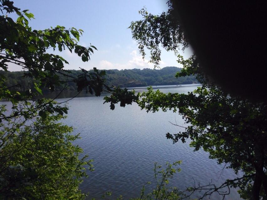 Permalien de l'image intégrée