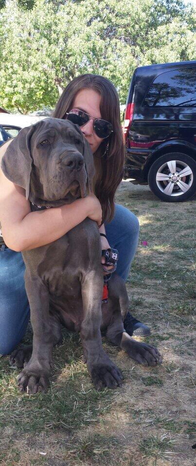 SaritaLazarus's tweet photo. Mi príncipe! #Kringer http://t.co/R2FwW6qpJ3