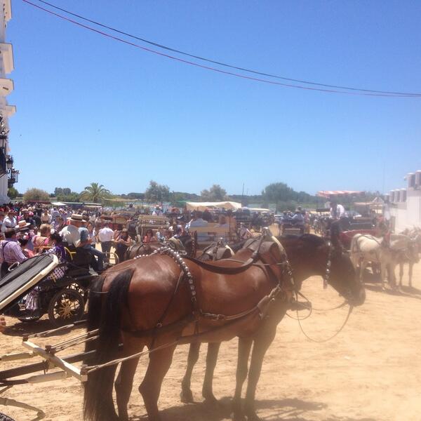 Gran fin de semana rociero  #Rocio2014