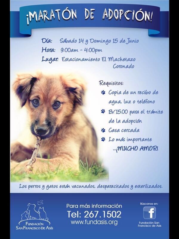 Happy Pets Panama tweet media