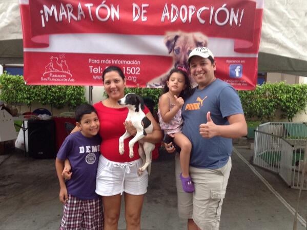 Happy Pets Panama tweet media