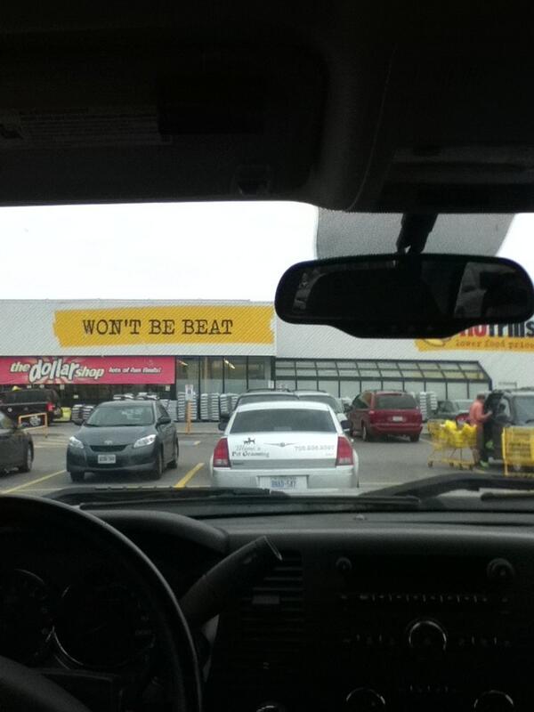 SullySanta's tweet image. Another great day for a walk