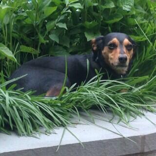 Louise enjoying #hellerfest2014 <a href="/michael_heller/">Michael Heller</a>