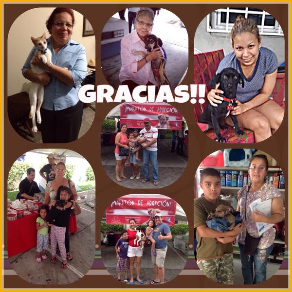 Happy Pets Panama tweet media
