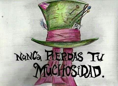 Laxus lestad (@luxuslestad) | Twitter