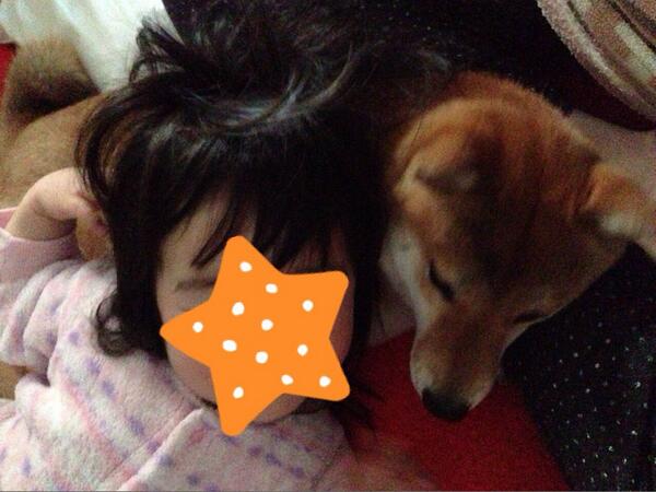 azuki_potiko's tweet photo. 姉が出産のため姪っ子を連れて帰省しております http://t.co/OcXPPmh74G