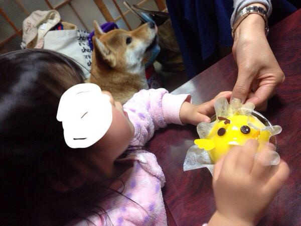 azuki_potiko's tweet photo. 姉が出産のため姪っ子を連れて帰省しております http://t.co/OcXPPmh74G