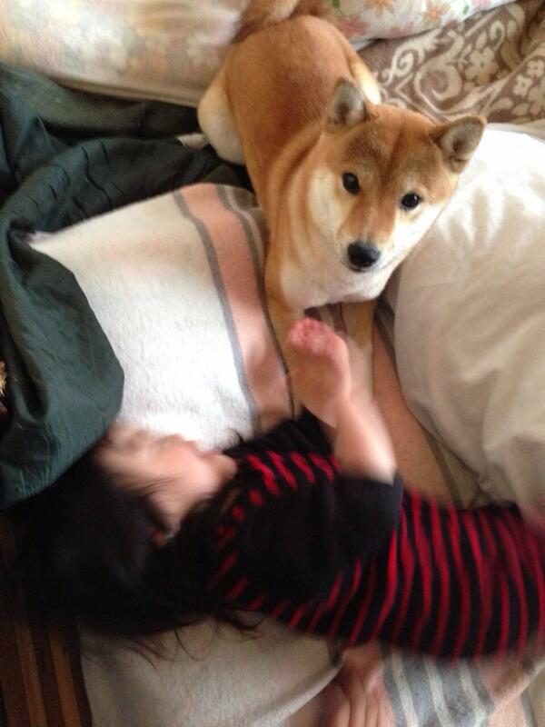 azuki_potiko's tweet photo. 姉が出産のため姪っ子を連れて帰省しております http://t.co/OcXPPmh74G
