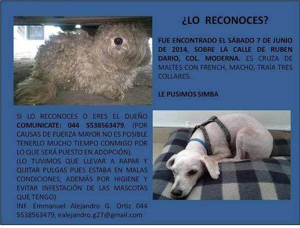 PrrosPerdidosMX's tweet photo. #ENCONTRADO
"@Zyncast: Perrito perdido ¡3 collares y nada de plaquita! Por favor. @PrrosPerdidosMX @SylviaPasquel http://t.co/dw3IKVw9BI"