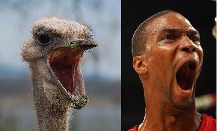 boyhiggins's tweet image. Bosh's dunk @SCTopPIays