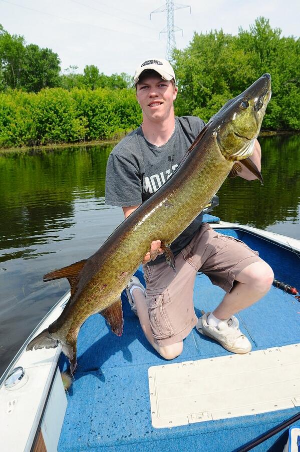 brendon_veerman's tweet photo. Long haul of a weekend chasing Muskie but the last hour of the trip I got it done 51" hog! #St.CroixRods #DaiwaReels http://t.co/XIC5asmTbP
