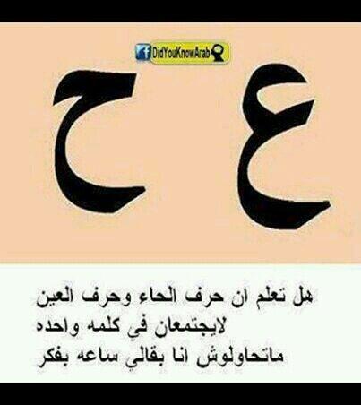 SoulHaneen's tweet photo. http://t.co/Y4jXko4dKf