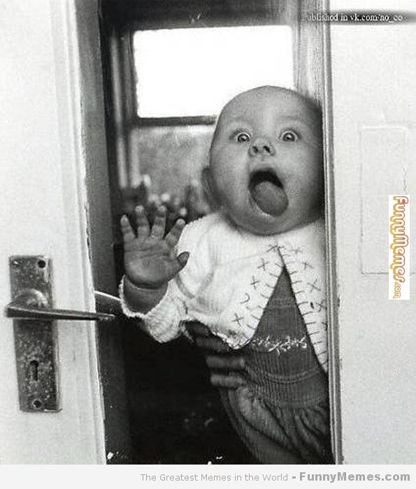Hanadora_com's tweet photo. Good morning mom, I'm hungry please feed me! :D http://t.co/gOaoa5wFFL
