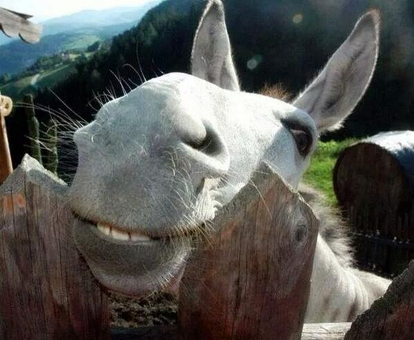 Eeeeee non scordatevi....... Amicici un bel sorriso e viaaaaaaa