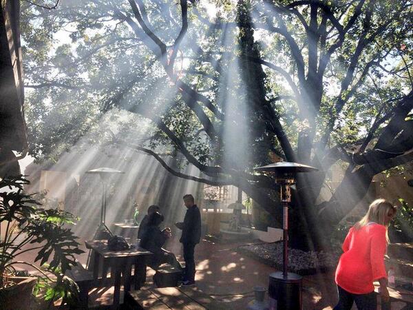 Malakite tweet media