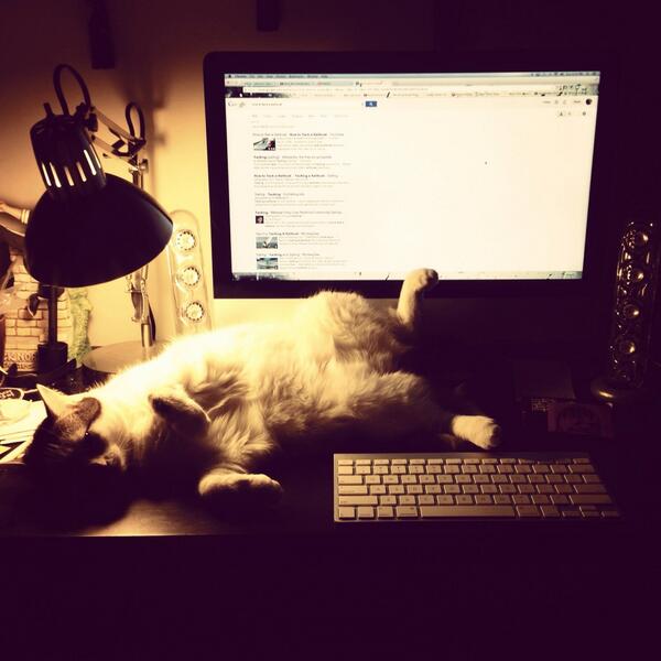 RubyandLavon's tweet image. Hardly working.