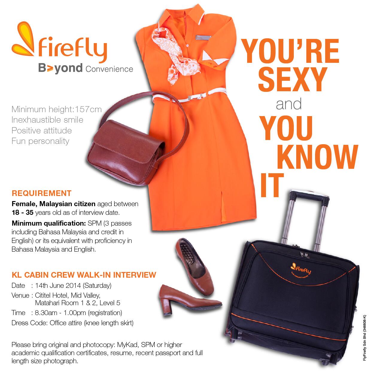 firefly cabin luggage