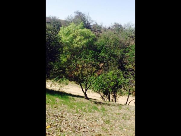 MinecraftBoy93's tweet image. This be ur sister Julia hacking u lolz... Love u and dis be our old sckool. #Theolddayz