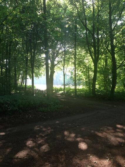 Early morning Running: is there anything better? #energy #happy