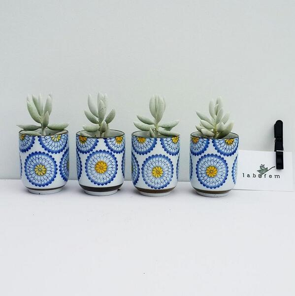 Fem'in Laboratuvarına Yolculuk! #manomag facebook.com/media/set/?set…