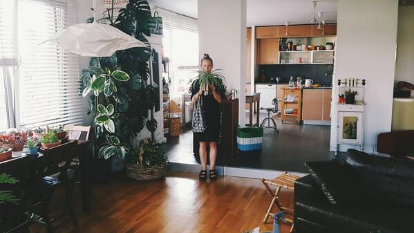 Bitki merakını, toprak - su - ışık üçlemesinin ötesine taşıyan Fem Güçlütürk'ün ilham veren laboratuvarı labofem!