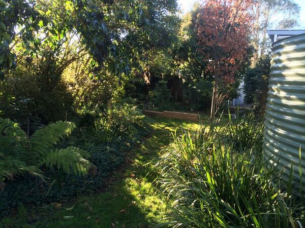 SPOC_Landscapes's tweet photo. Photo #2 #JumanjiMakeover http://t.co/40F3VXsm5i