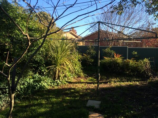 SPOC_Landscapes's tweet photo. Photo #3 #JumanjiMakeover http://t.co/8YX83VfNWc