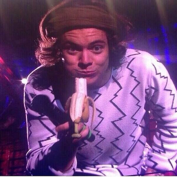 Just look at this cute little shit 😊 <a href="/_Loosingloser_/">Harry</a>