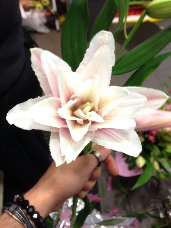 Poetry in Flowers (GungahlinF) Twitter