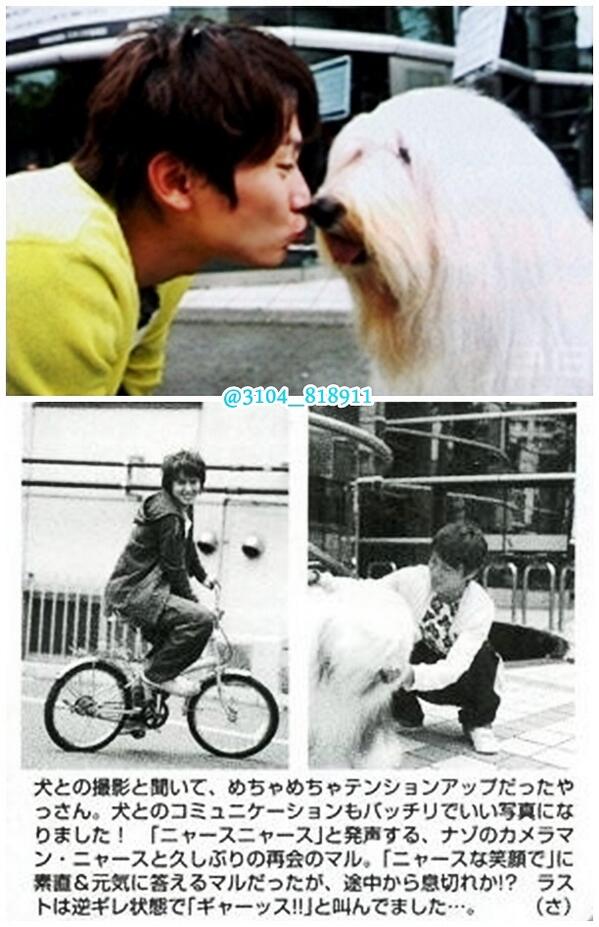 よんよん Auf Twitter 倉安エピソード 大型犬 昔から大型犬が好き 飼いたい と言ってた安田 そして トイプードルよりゴールデンレトリバーやんな と言われ 世界で一番幸せそうな顔してる大倉 愛されたいんだね 笑 安田バカ大倉 倉安最高 Http T Co