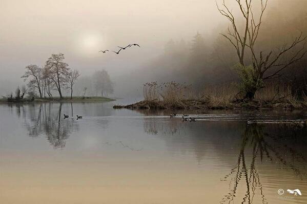 Gabriele_Corno's tweet photo. Mystic river by Rudolf Rinner #inspiration #nature #CGE http://t.co/zAQ8DYoZyt