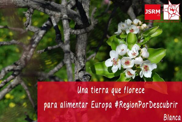 Ainooiki's tweet photo. ¡Buenos y murcianos días! Feliz 9 de junio a mis paisan@s. Viva Murcia, una #RegionPorDescubrir... ¿A qué esperas? ;) http://t.co/ET0UHsmfQv