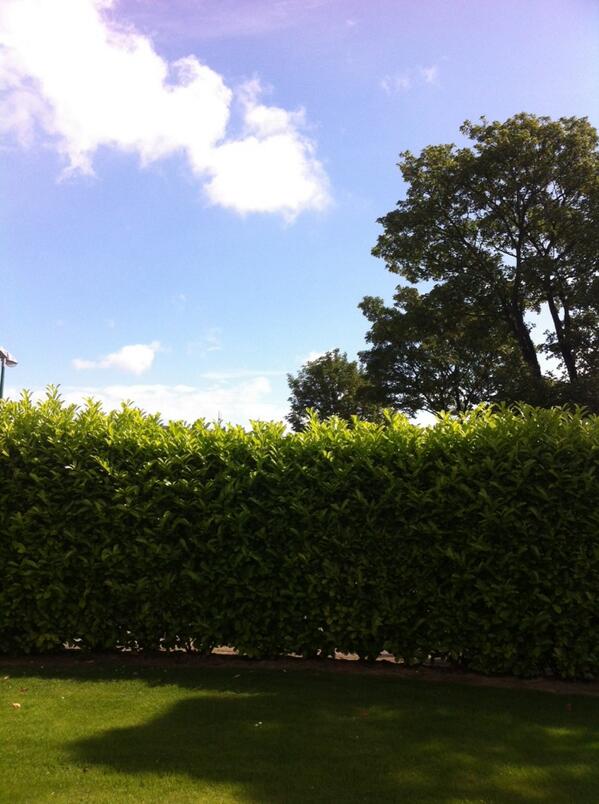 david_willy10's tweet photo. Work on a day like this 😐 http://t.co/GhALOuW9Y6